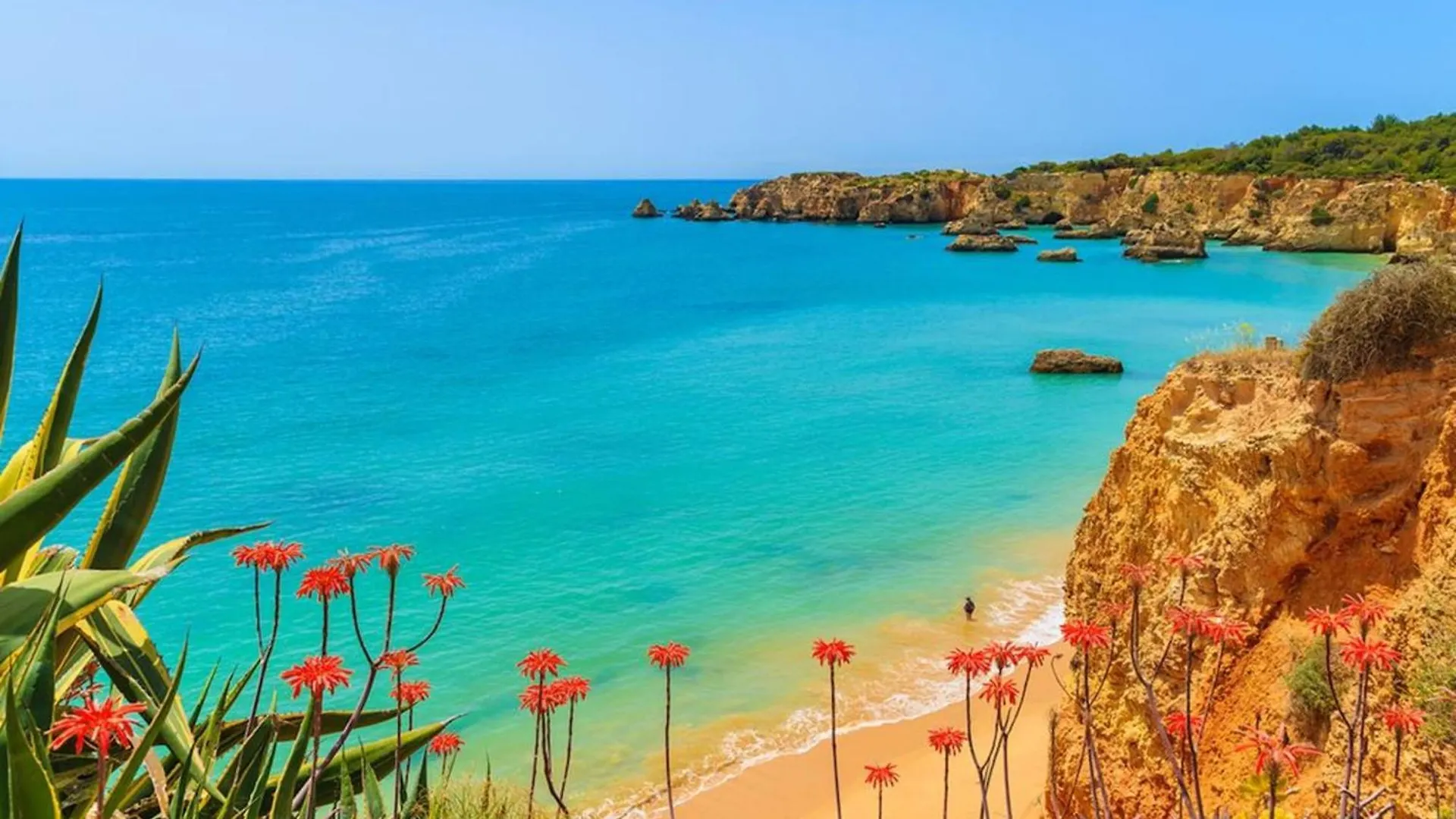 לגואה Amazing Carvoeiro Villa 4 Bedrooms Villa Jasmin Walking Distance To Beautiful Beach